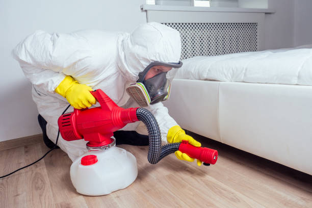 Best Affordable Pest Control Services  in Alachua, FL