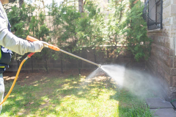 Best Wasp Removal Services  in Alachua, FL