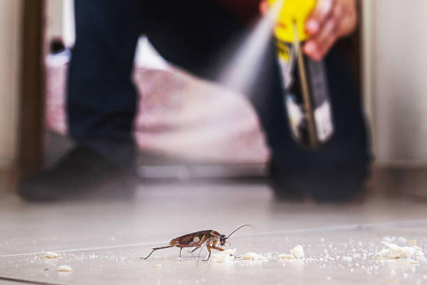 Best Flea Control Services  in Alachua, FL